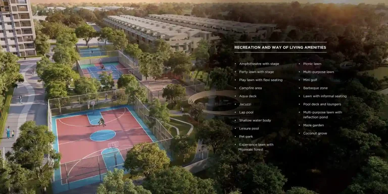 Amenities